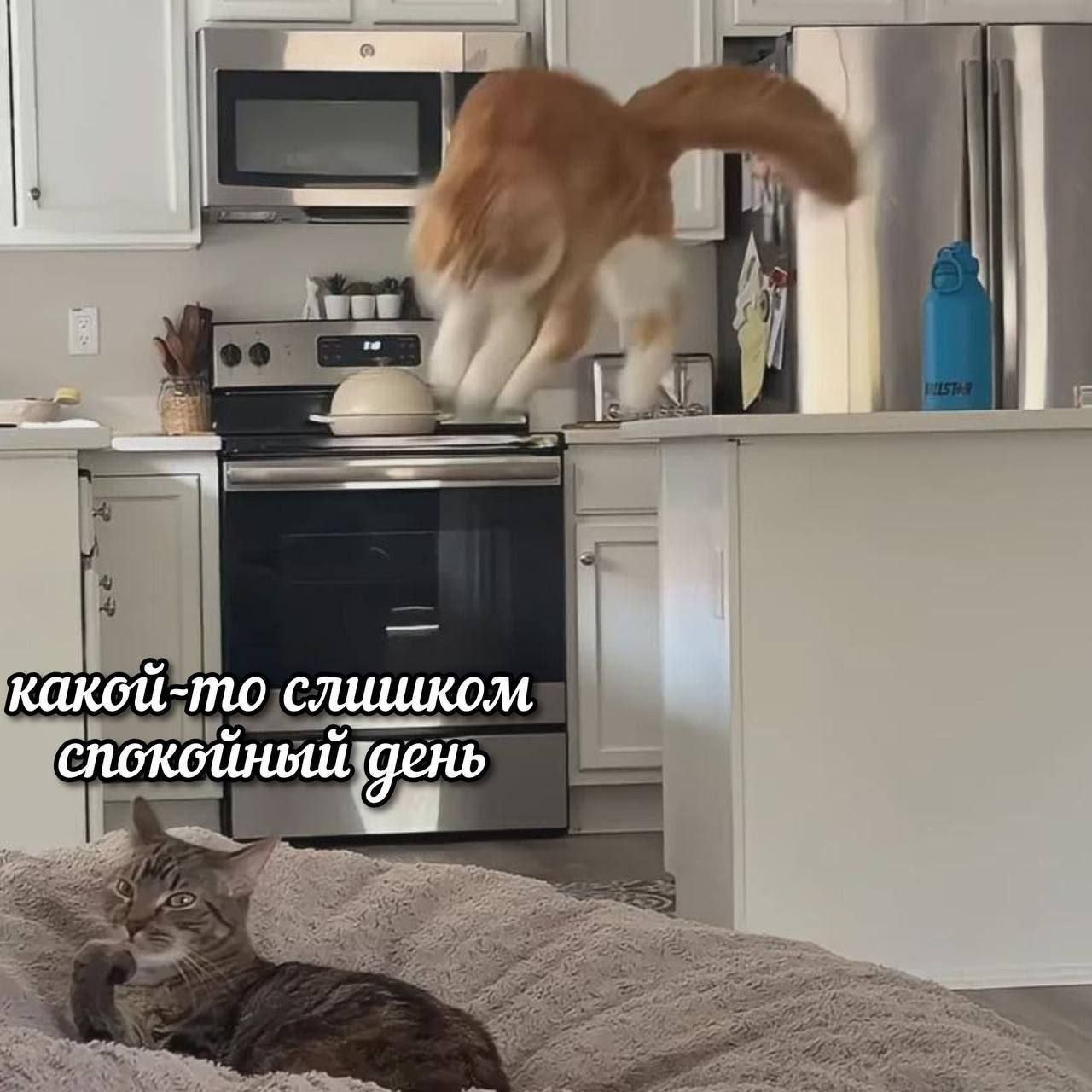 слишком