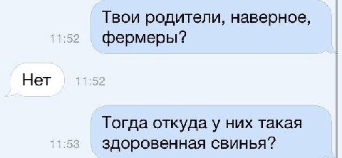 Твои родители, наверное, фермеры? Нет Тогда откуда у них такая здоровенная свинья?