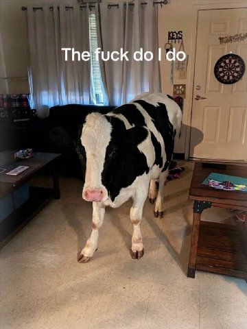 Тре uck