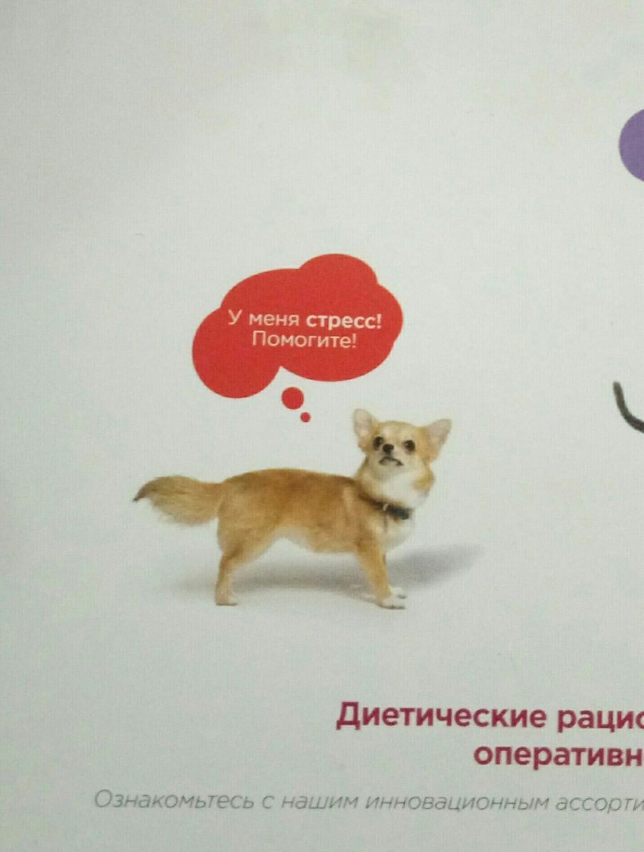 настроение