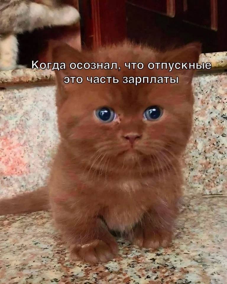 Когда осознал. что отпускные Это часть зарплаты