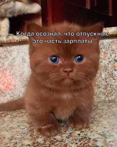 Когда осознал. что отпускные Это часть зарплаты