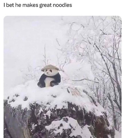 bet he makes great noodles iN