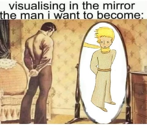 visualising in the mirror A