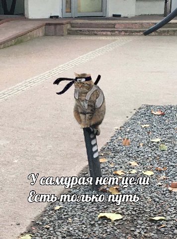 a у у 7 abe 3 i
