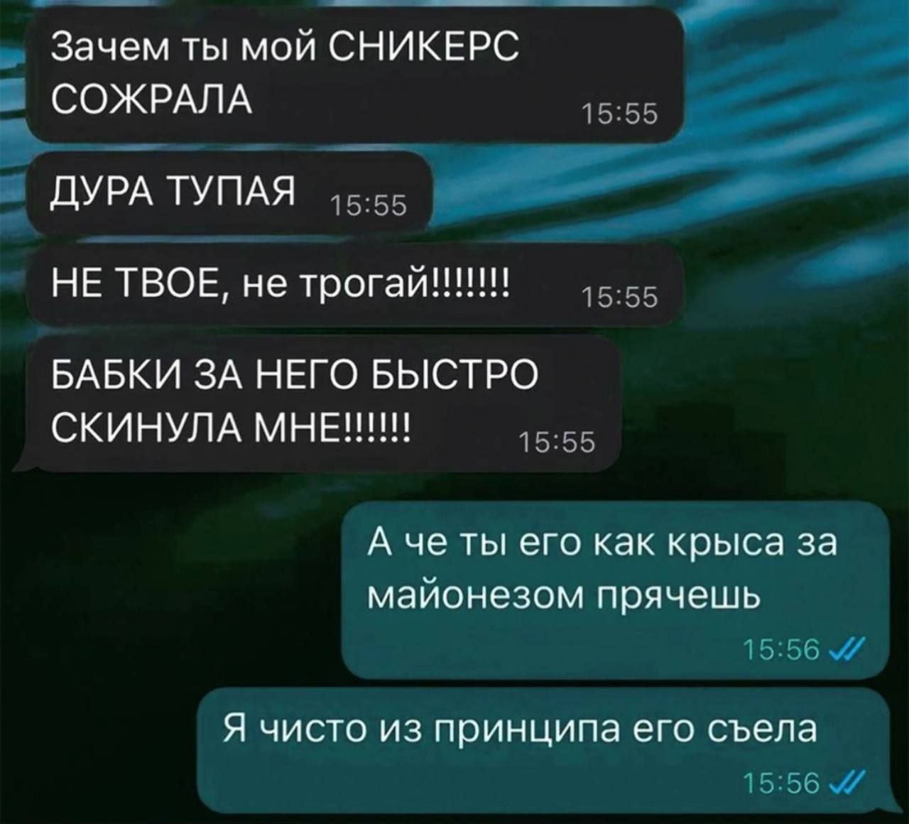 Зачем ты мой СНИКЕРС СОЖРАЛА 15:55 4 ДУРА ТУПАЯ 15.55 НЕ ТВОЕ, не БАБКИ ЗА НЕГО БЫСТРО СКИНУЛА МНЕ!!! 15:55 А че ты его как крыса за майонезом прячешь 15:56 Я чисто из принципа его съела