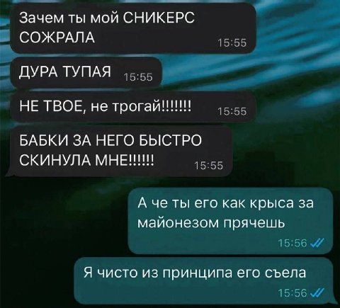 Зачем ты мой СНИКЕРС СОЖРАЛА 15:55 4 ДУРА ТУПАЯ 15.55 НЕ ТВОЕ, не БАБКИ ЗА НЕГО БЫСТРО СКИНУЛА МНЕ!!! 15:55 А че ты его как крыса за майонезом прячешь 15:56 Я чисто из принципа его съела