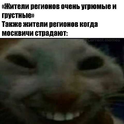 регионов очень урюмые и грустные» Также жители регионов когда москвичи страдают: