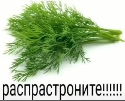 “woe распрастронитени!