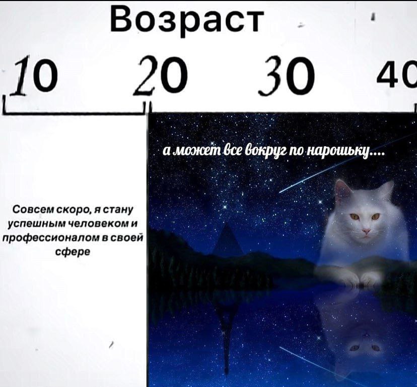 Возраст a Boe вокруг по нарошьну... Совсем скоро, я стану успешным человекоми профессионалом в своей сфере