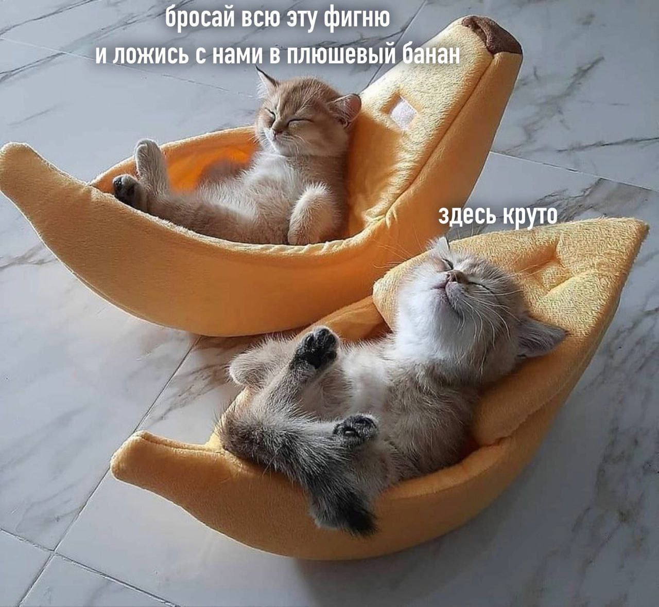 бросай всю эту фигню -И ложись с нами в плюшевый рана здесь круто
