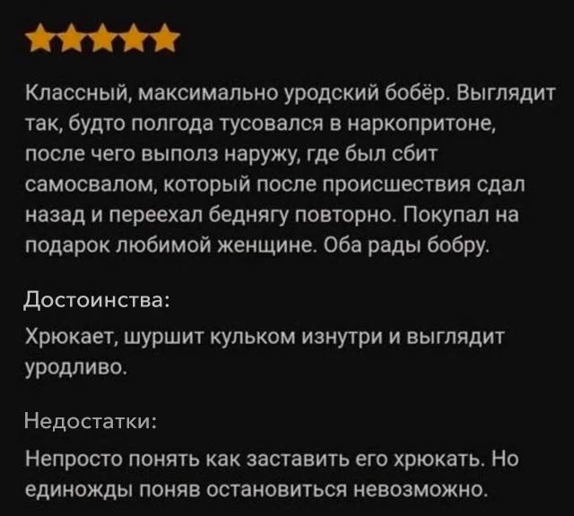 Классный, максимально уродский бобёр. Выглядит так, будто полгода тусовался в наркопритоне, после чего выполз наружу, где был сбит самосвалом, который после происшествия сдал назад и переехал беднягу 