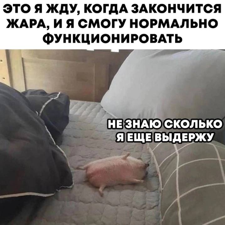 ЭТО Я ЖДУ, КОГДА ЗАКОНЧИТСЯ ЖАРА, И Я СМОГУ НОРМАЛЬНО ФУНКЦИОНИРОВАТЬ НЕ ЗНАЮ СКОЛЬКО ЯЕЩЕ ВЫДЕРЖУ