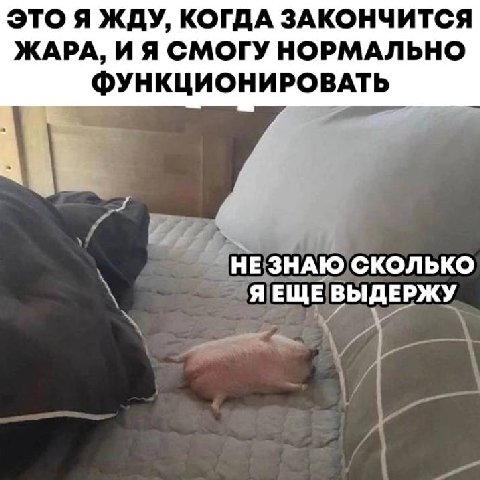 ЭТО Я ЖДУ, КОГДА ЗАКОНЧИТСЯ ЖАРА, И Я СМОГУ НОРМАЛЬНО ФУНКЦИОНИРОВАТЬ НЕ ЗНАЮ СКОЛЬКО ЯЕЩЕ ВЫДЕРЖУ