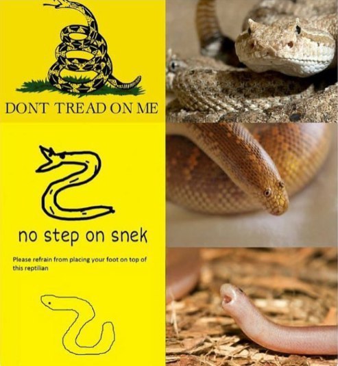 DONT TREAD ON ME no step on snek Please refrain from placing your foot on top of this reptilian