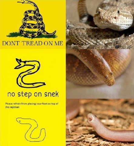 DONT TREAD ON ME no step on snek Please refrain from placing your foot on top of this reptilian
