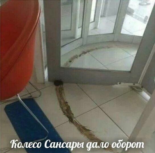 a a Полесо Сансары дало оборот