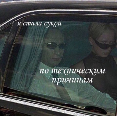 я стала сукой по техническим причинам