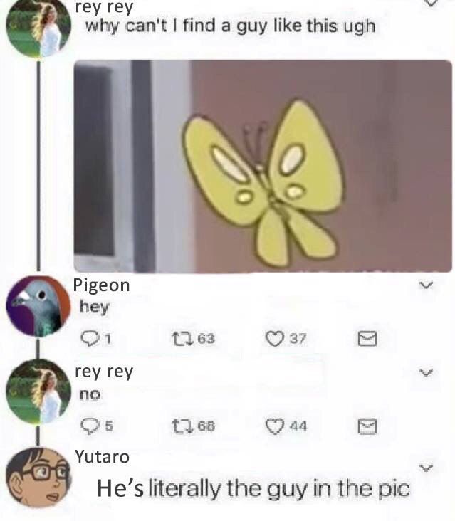 геу геу why can't find a guy like this ugh Pigeon hey 1} 37 геу геу no 13 68 Yutaro He’s literally the guy in the pic