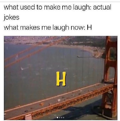 what used to make me laugh: actual jokes what makes me laugh now: