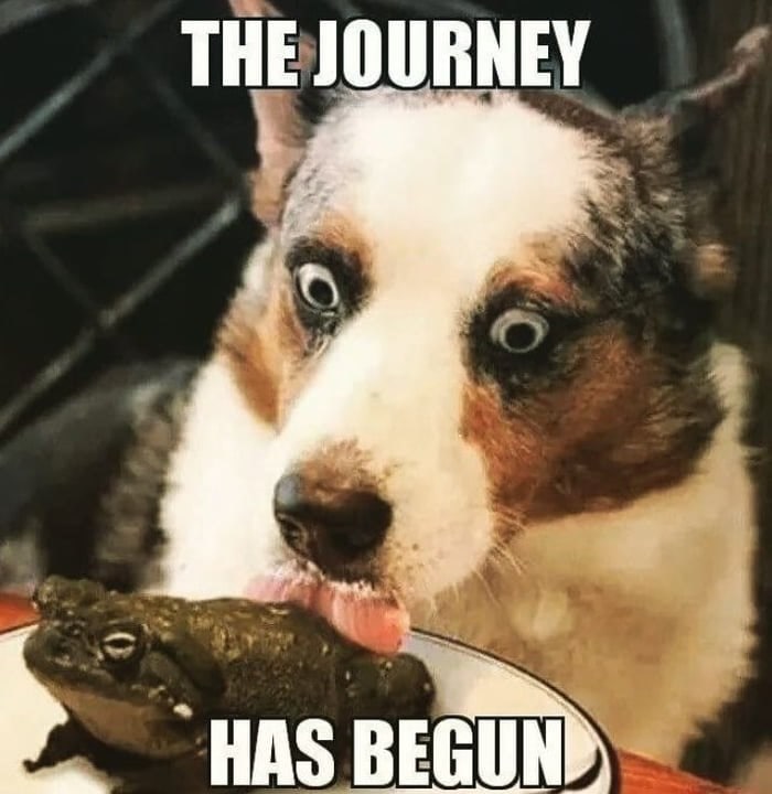 THE JOURNEY