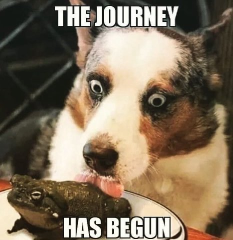 THE JOURNEY