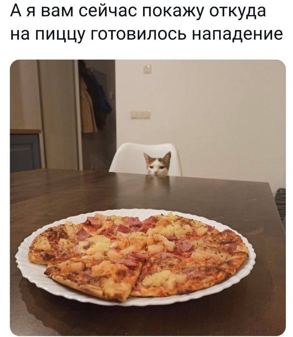 А я вам сейчас покажу откуда на пиццу готовилось нападение