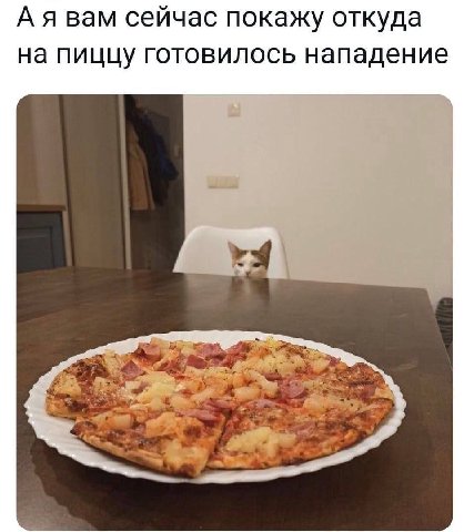 А я вам сейчас покажу откуда на пиццу готовилось нападение