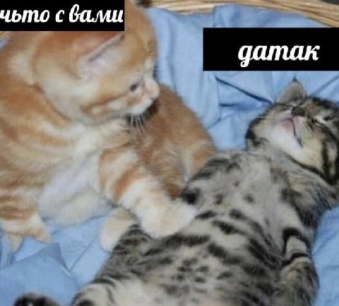 чьто сбами датак
