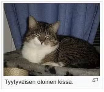 👤 empörung