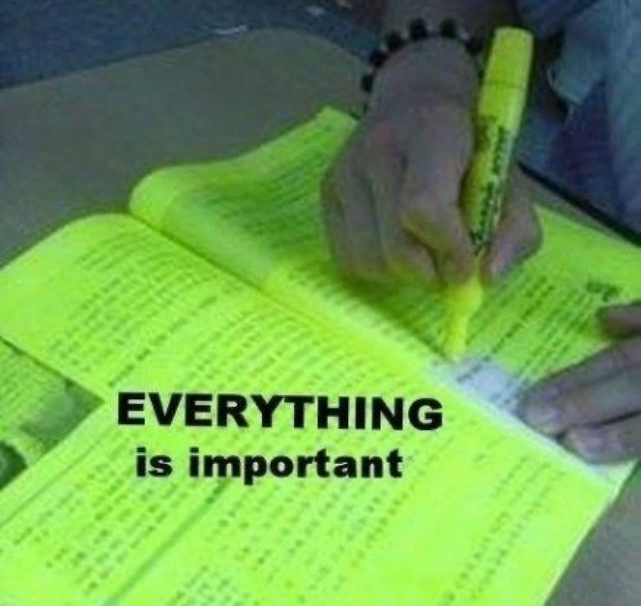 EVERYTHING is important