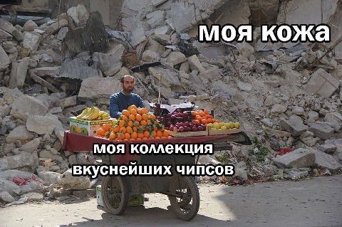 моя кожа моя коллекция чипсов