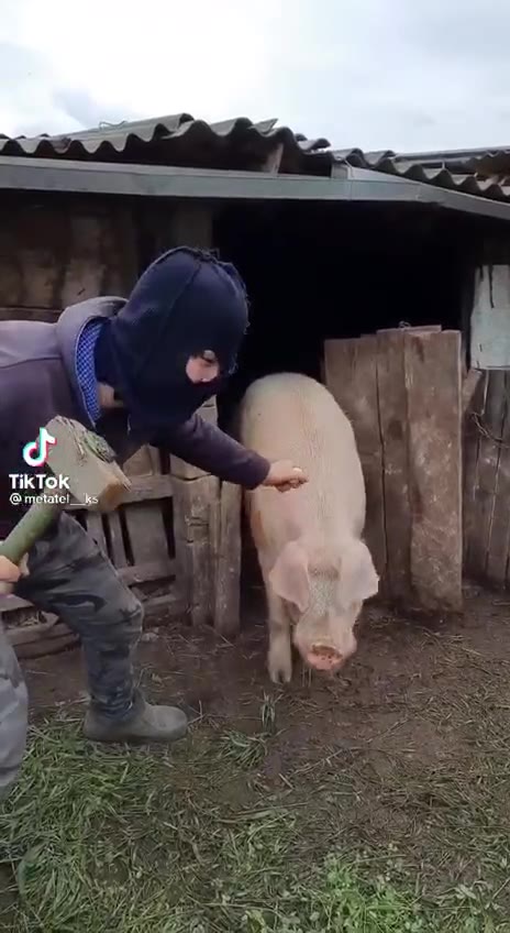 Просто мои выходные