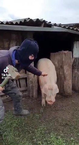 Просто мои выходные