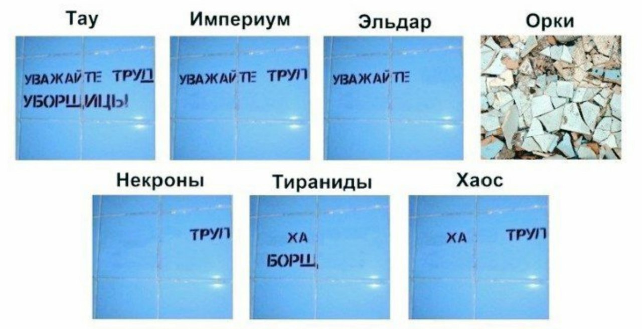 Тау Империум Эльдар Орки Некроны Тираниды Хаос