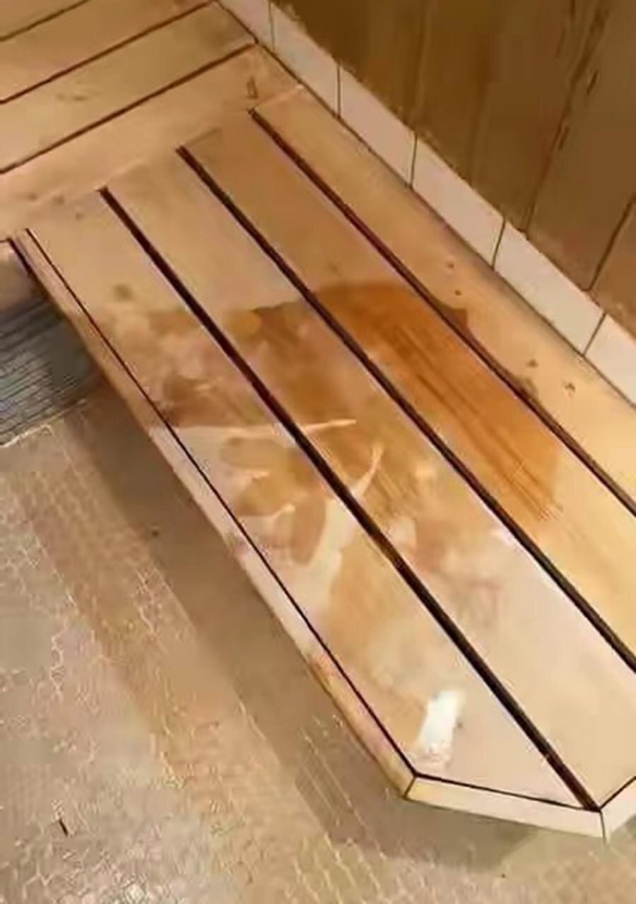 aN