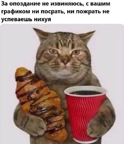 За опоздание не извиняюсь, с вашим графиком ни посрать, ни пожрать не успеваешь нихуя 4 weg