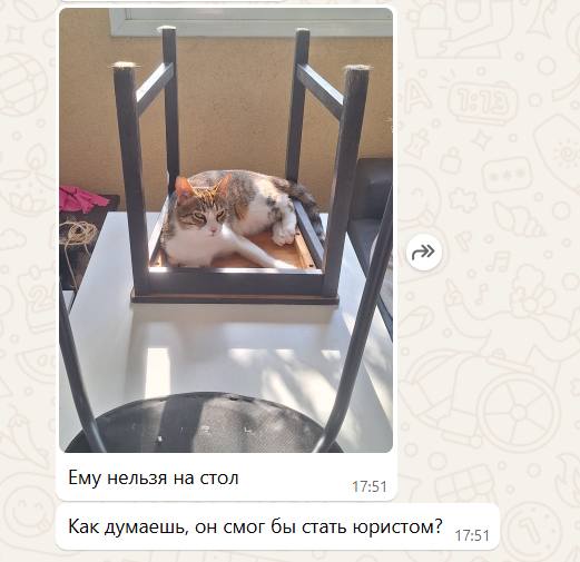 и Ему нельзя на стол 17:51 Как думаешь, он смог бы стать юристом?