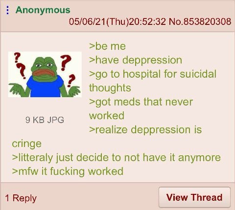 Anonymous 05/06/21 No.853820308 >be me >have deppression to hospital for suicidal thoughts >got meds that never IPG worked >realize deppression is cringe >litteraly just decide to not have it anymore 