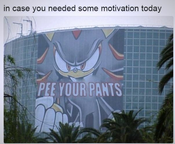 in case you needed some motivation today