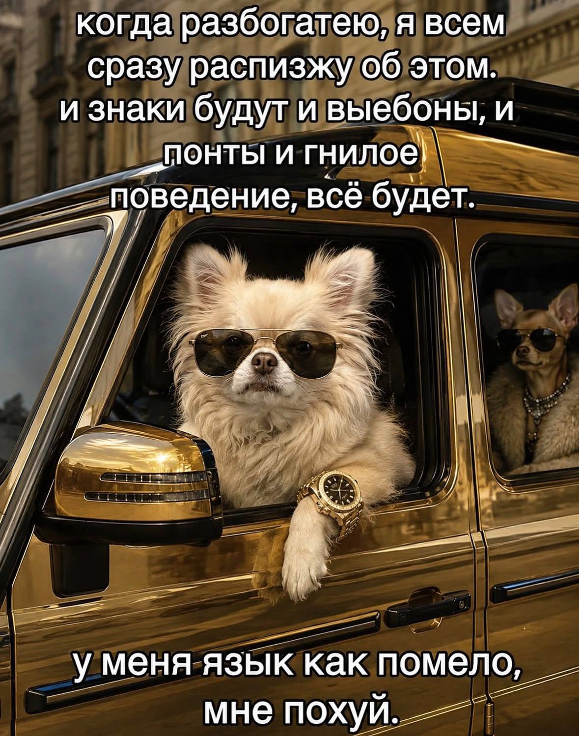 когда разбогатею, я всем сразу распизжу об этом и знаки будут и выебоны, и __понты и поведение, всё будет. _У меня язык как помело, мне похуй.
