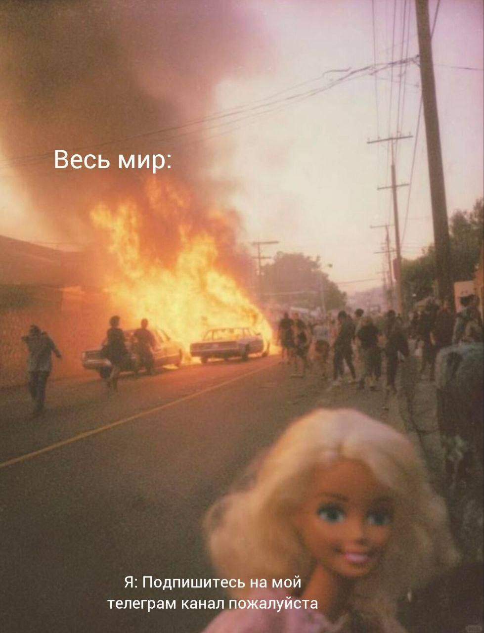Весь мир: Я: Подпишитесь на мой телеграм канал пожалуйста
