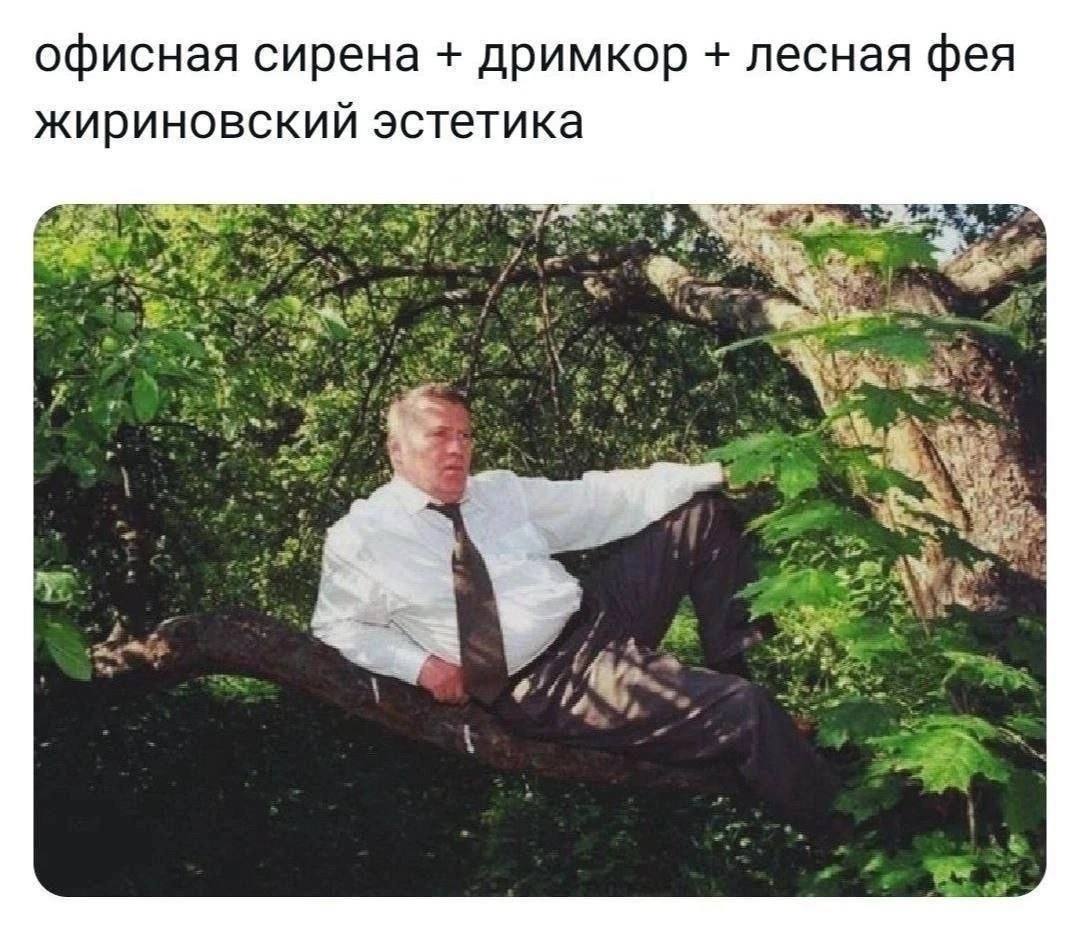 офисная сирена дримкор лесная фея жириновский эстетика