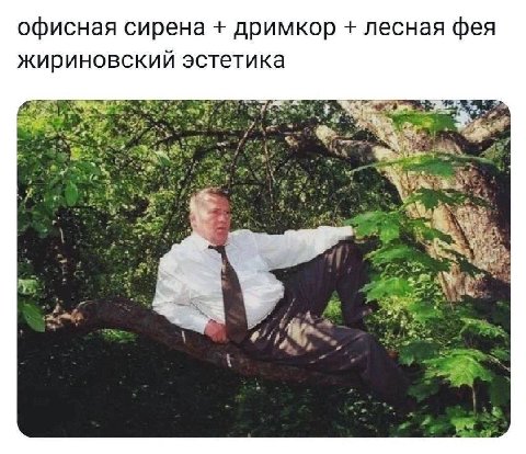 офисная сирена дримкор лесная фея жириновский эстетика