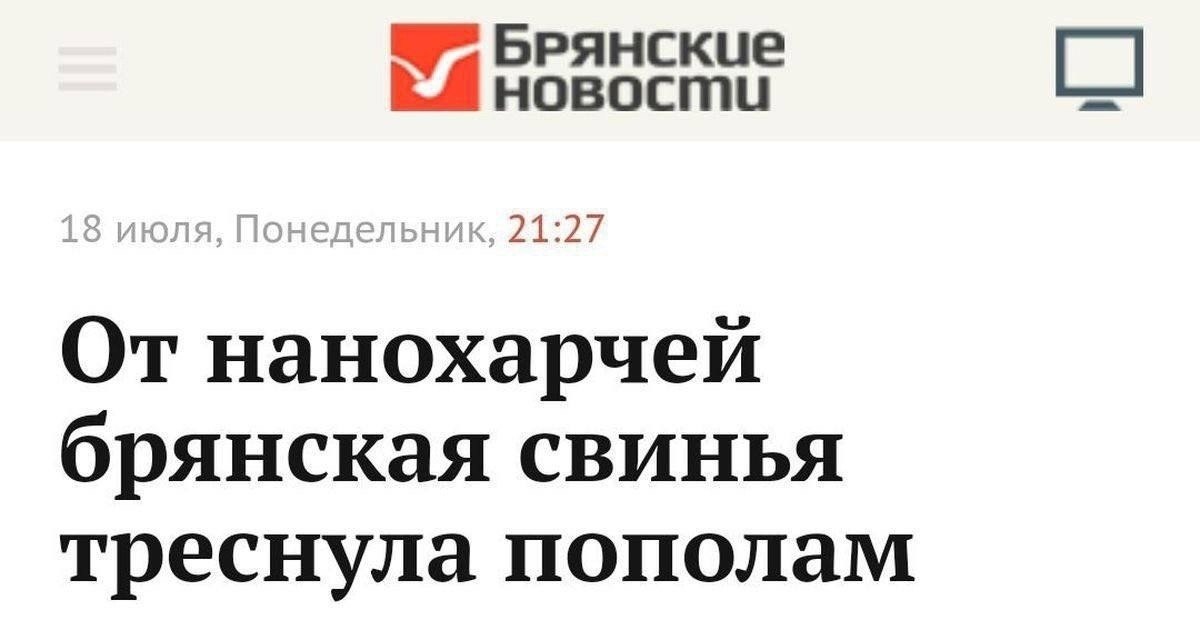 18 июля, Понедельник, 21:27 От нанохарчей брянская свинья треснула пополам