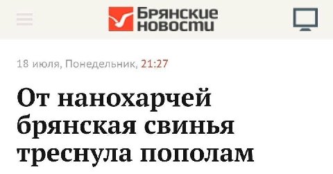 18 июля, Понедельник, 21:27 От нанохарчей брянская свинья треснула пополам