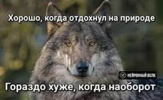 Хорошо, когда отдохнул на природе Гораздо хуже, когда наоборот
