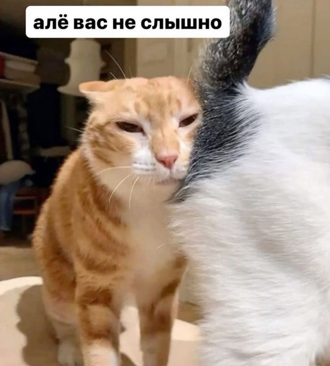 алё вас не слышно