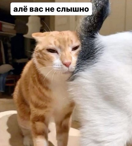 алё вас не слышно