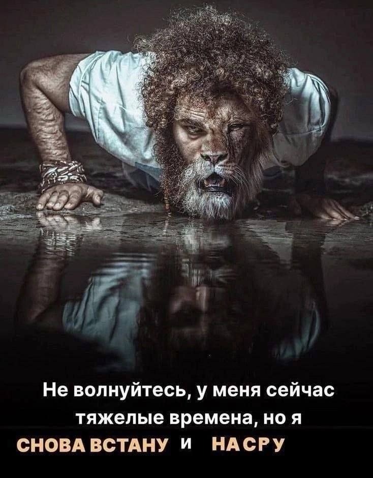 a? Не волнуйтесь, у меня сейчас тяжелые времена, ноя СНОВА ВСТАНУ И НАСРУ